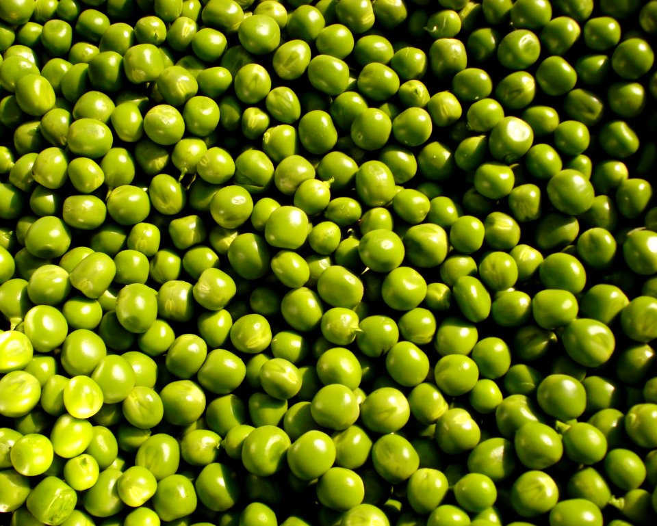 Asansol, India, Green bean