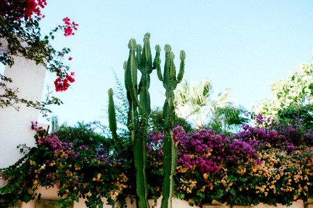 Ibiza, Spain, Sky