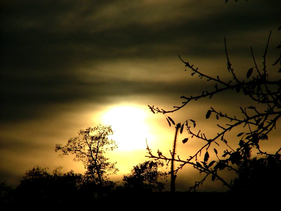 Atmosphere mysterious landscape