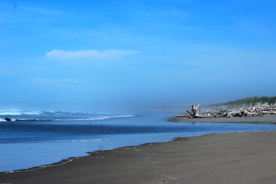 Beach driftwood ocean oregon