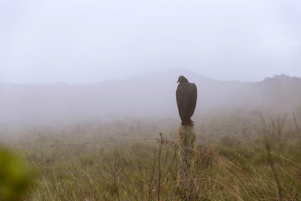 Canion do itaibezinho, Brazil, Mist