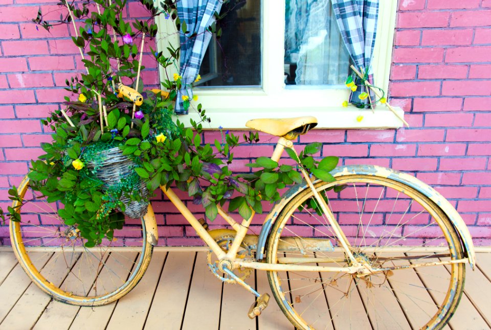 brown city bike with flowers near red brick building during daytime photo