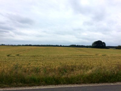 Fredensborg, Hovedstaden, Danmark photo