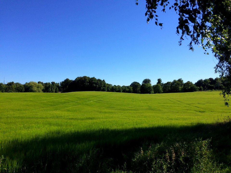 Rungsted kyst, Hovedstaden, Danmark