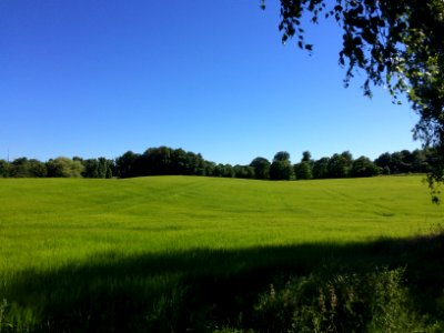 Rungsted kyst, Hovedstaden, Danmark