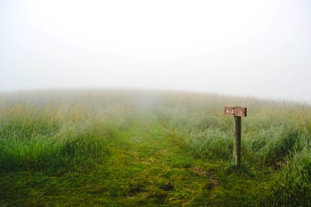 green grass field during fog photo