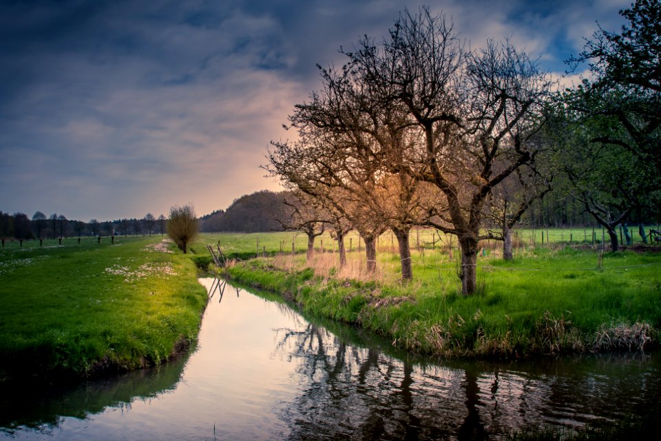Utrechtse heuvelrug, Netherl, Grass