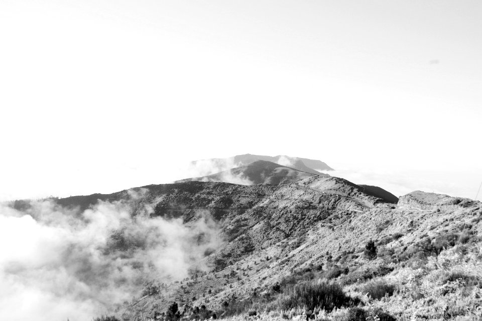 Madeira, Portugal, Monochrome