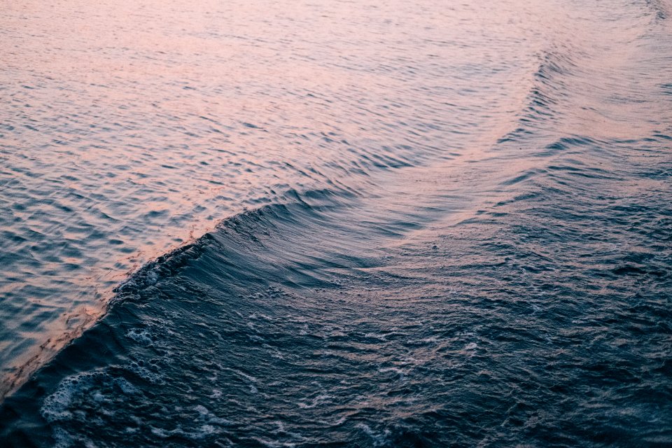 closeup photography of sae waves