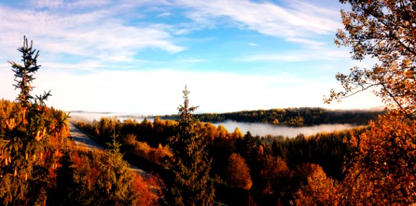 panoramic photography of body of water surrounded with trees