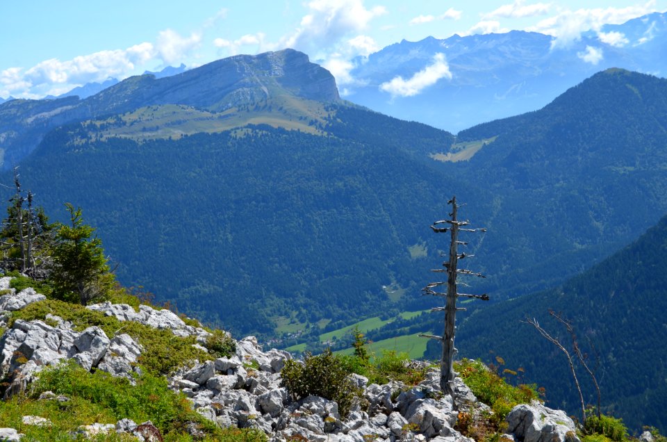Frankrijk, Ezrasjakie, Alpes