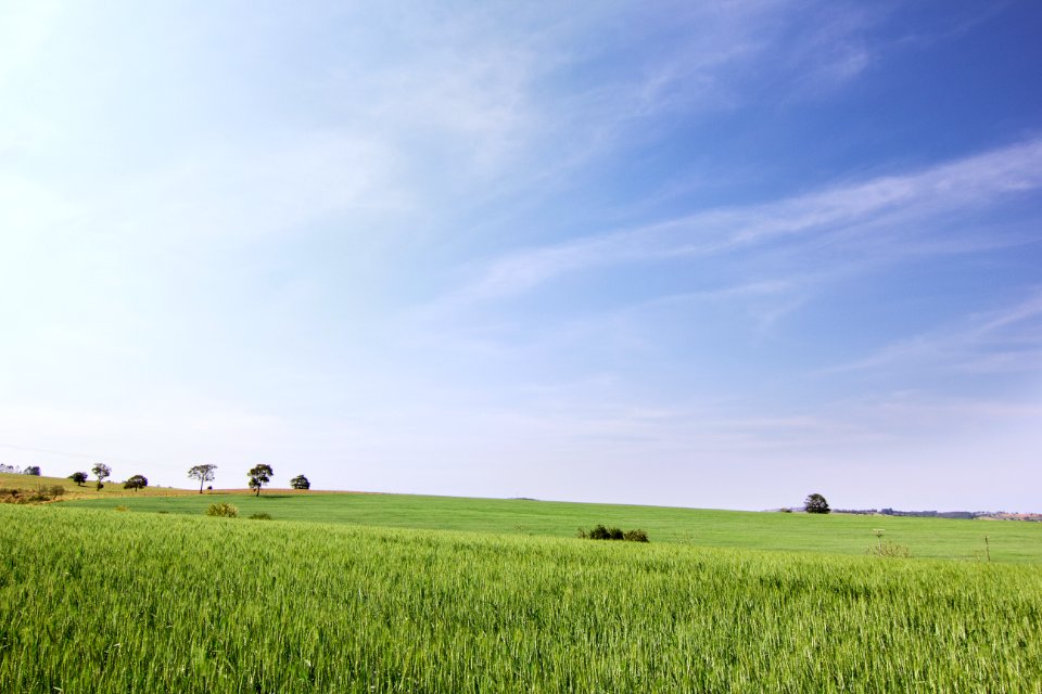 Campina do monte alegre, Brazil, Campo