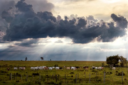 Pereiras, Brazil, Nuvens