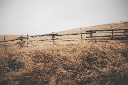 green grass at daytime photo