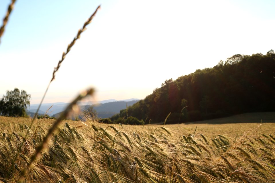 Burghorn, Wettingen, Switzerl