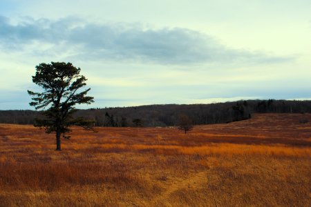 United states, Usa, Roadtrip photo