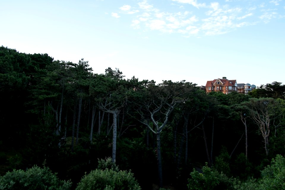 Boscombe chine gardens, Bournemouth, United kingdom