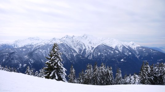 snowy forest and mountains under cloudy sky during daytime