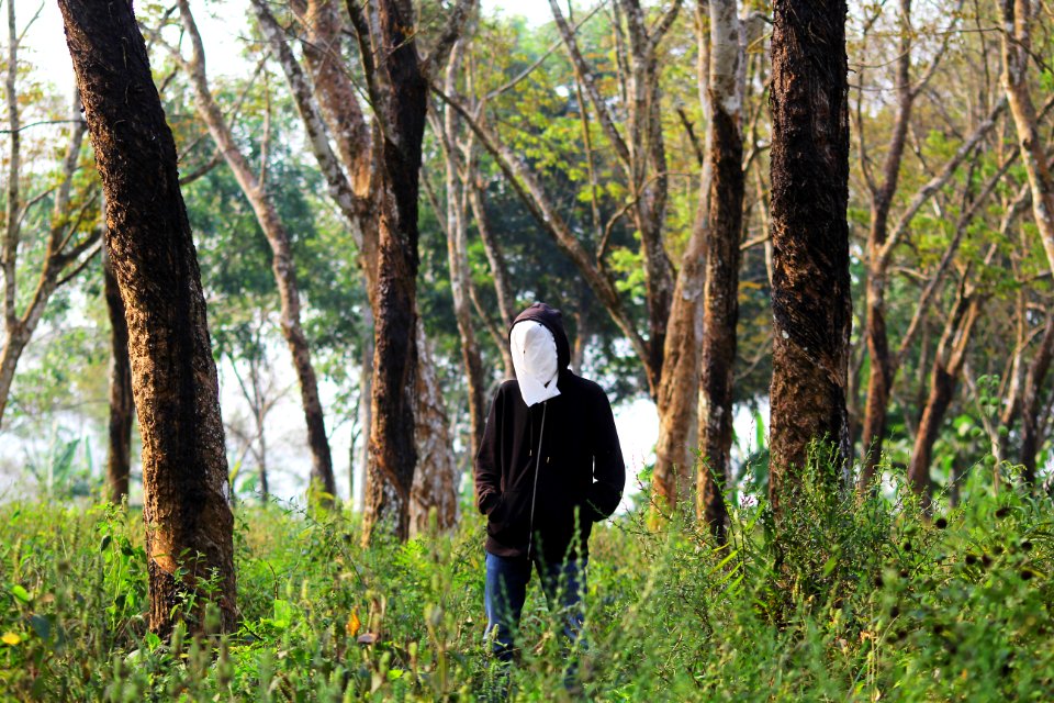 Sukabumi, Indonesia, Nature