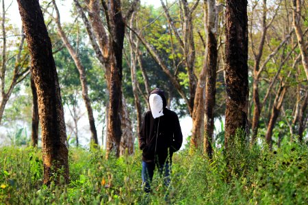 Sukabumi, Indonesia, Nature photo