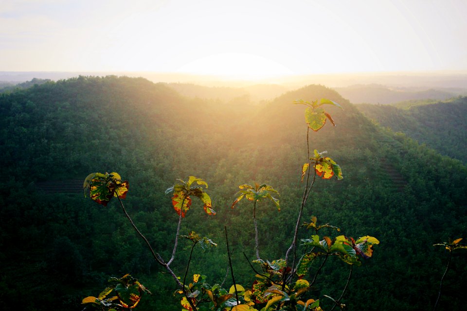 Bukit panguk, Kediwung dlingo, Bantul yogyakarta