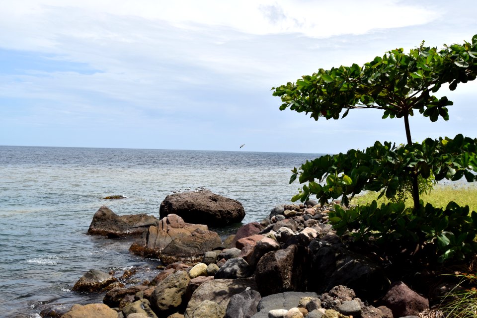 Anse chastanet beach, Saint lucia, St lucia