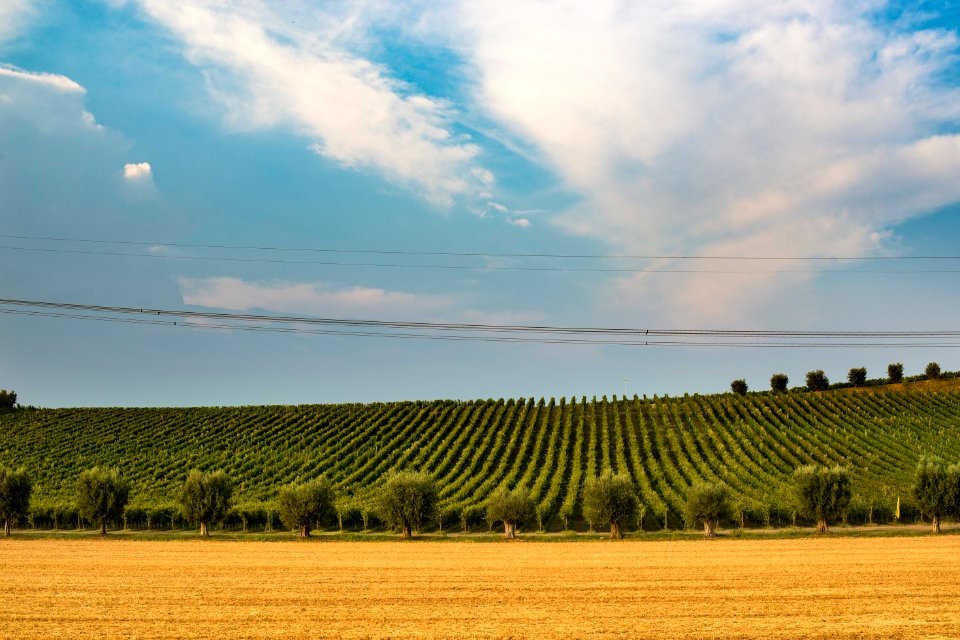 Castiglione delle stiviere, Italy, September