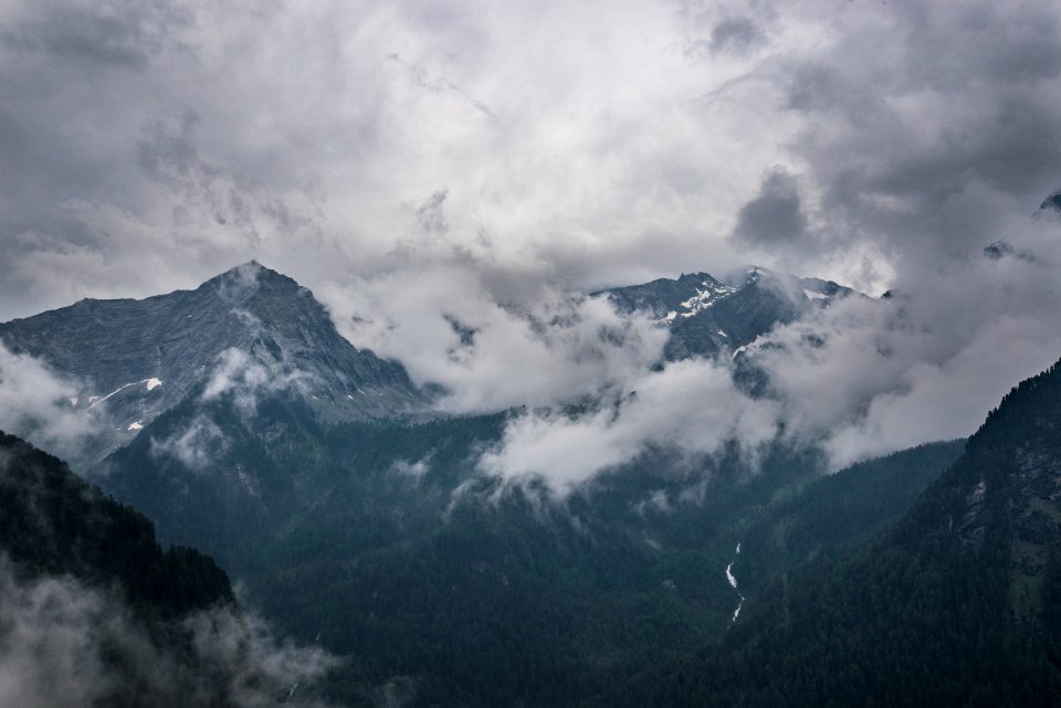 In taufers, Italy, Forest