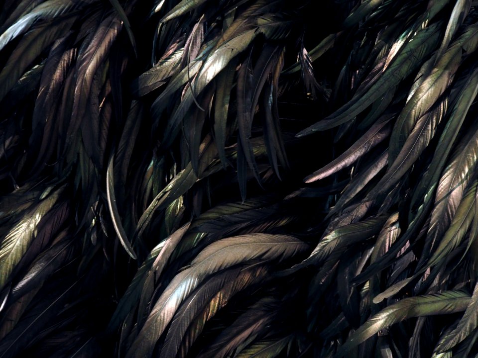Italy, Pattern, Black