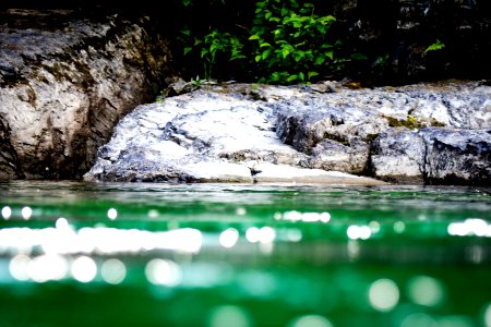 Bonaventure, Canada, Camping