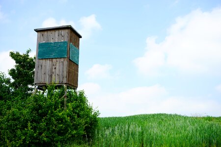 Hunting wooden tower hunt