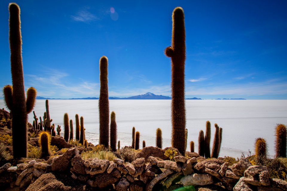 Bolivia, Uyuni salt flat, Uyuni
