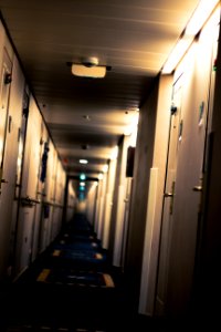 Horror, Room, Alley