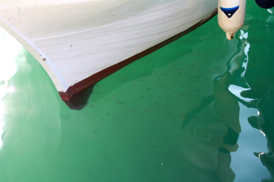 Otranto, Fish, Water