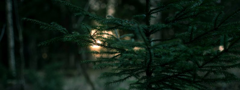 Sweden, Flss, Nature