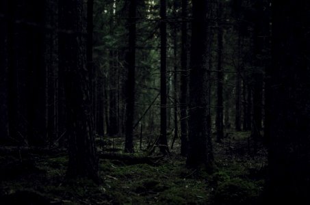 Sweden, Flss, Europe