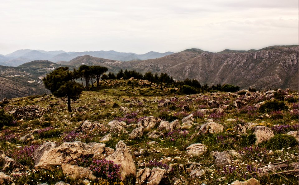 Mountains