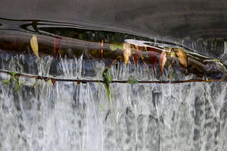 Leaves, River, Water