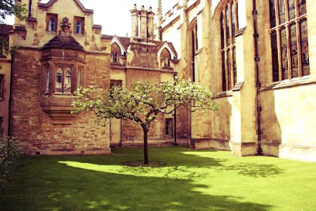 Finley design, Cambridgeshire, United kingdom