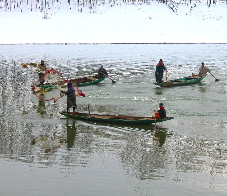 Pampore, Kashmir, Jhelum