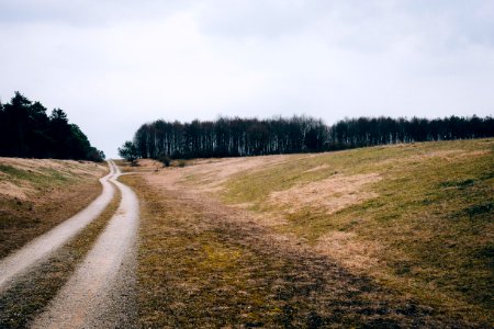 pathway between green grass photo