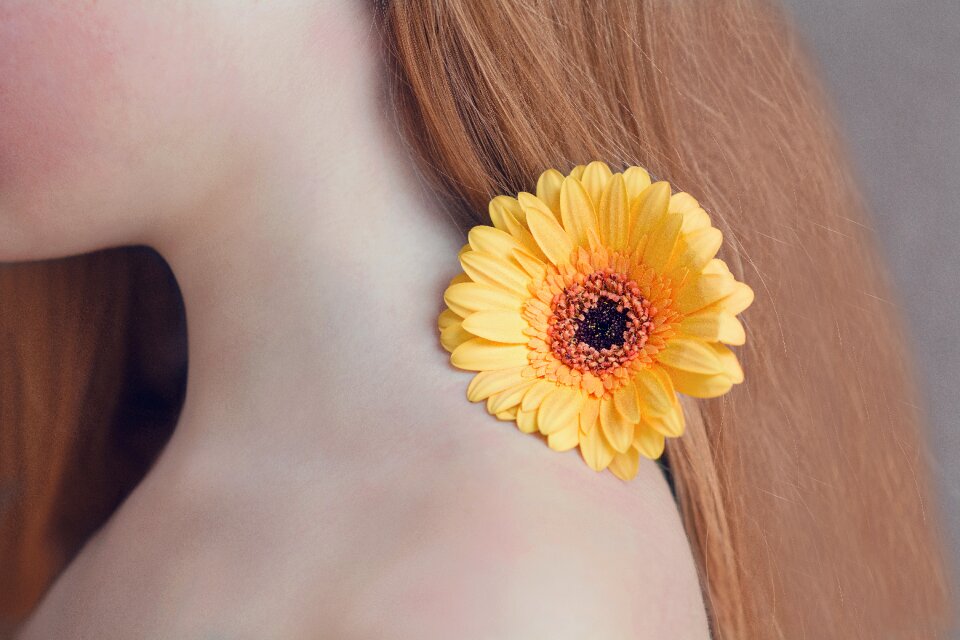Yellow flower schnittblume blossom