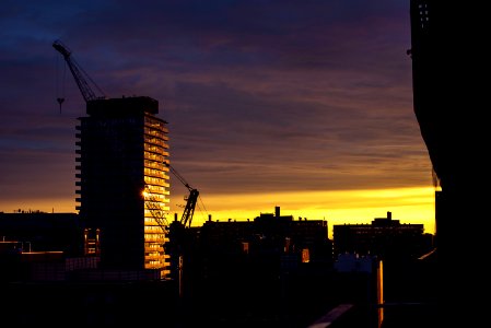 yellow sunset above high-rise buildings photo