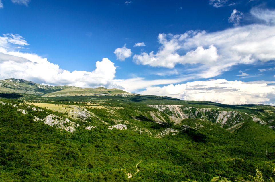 green terrain under clear sky
