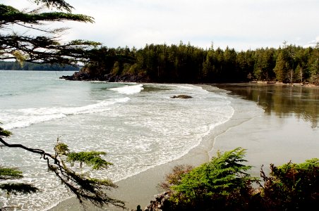 Tofino, Canada, Natural