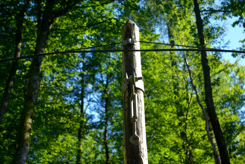 Hennezel, Forest, Wires
