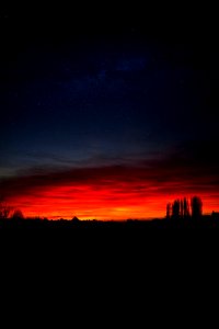 Mainz, Germany, Stars