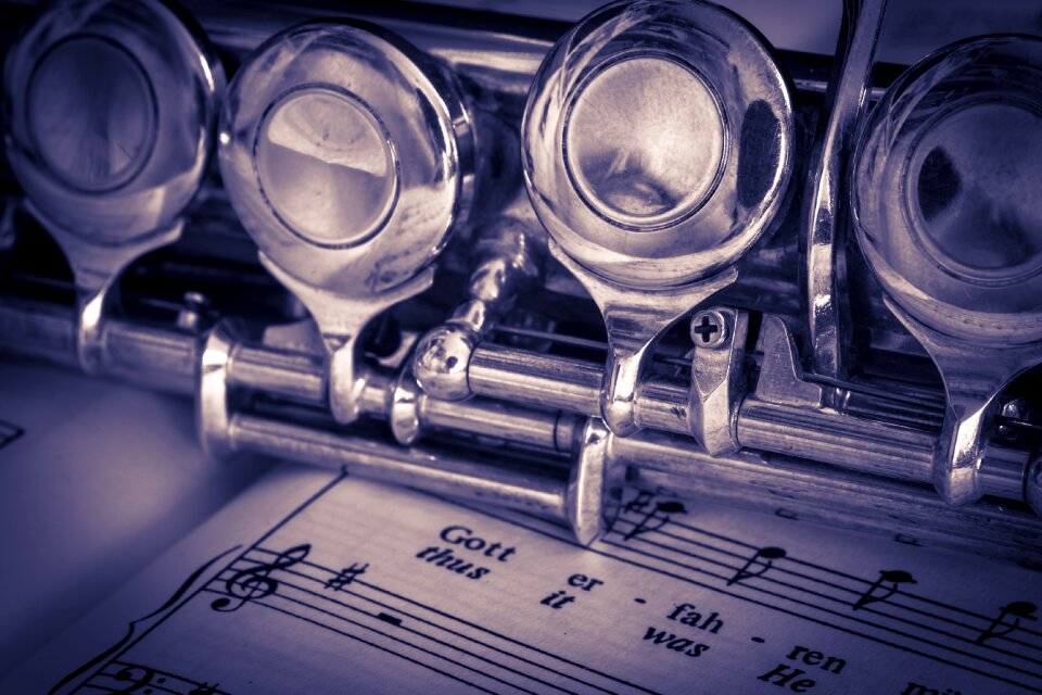 Music instrument classic