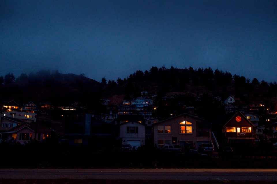 Cayucos, United states, Trees