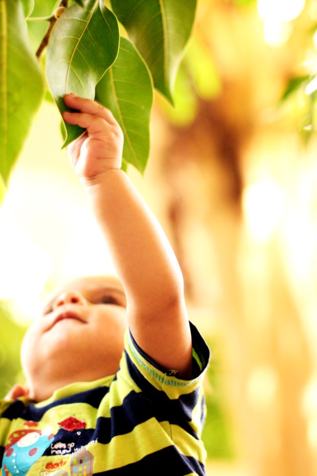United arab emirates, Artistic, Green